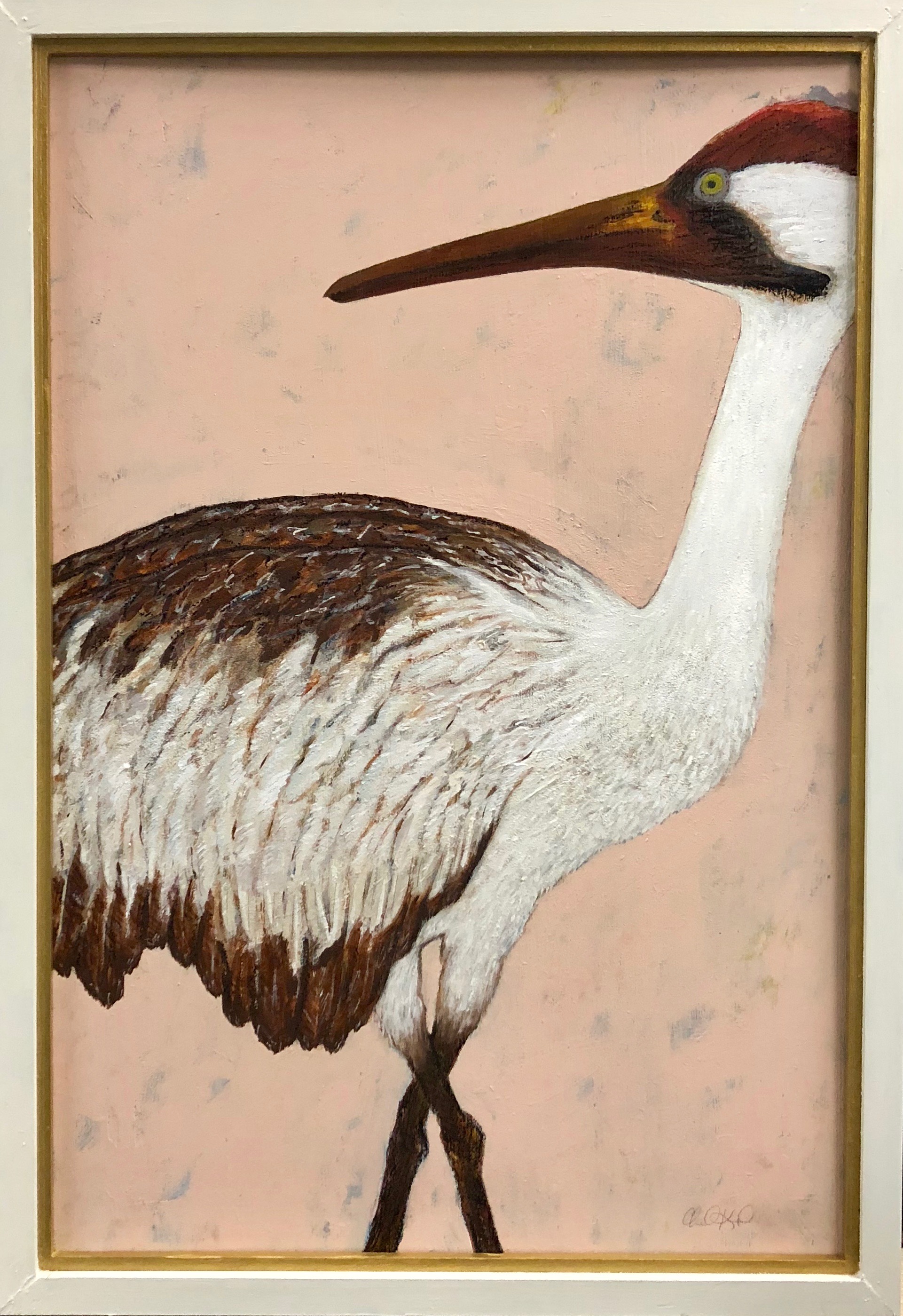 Louisiana Whooping Crane