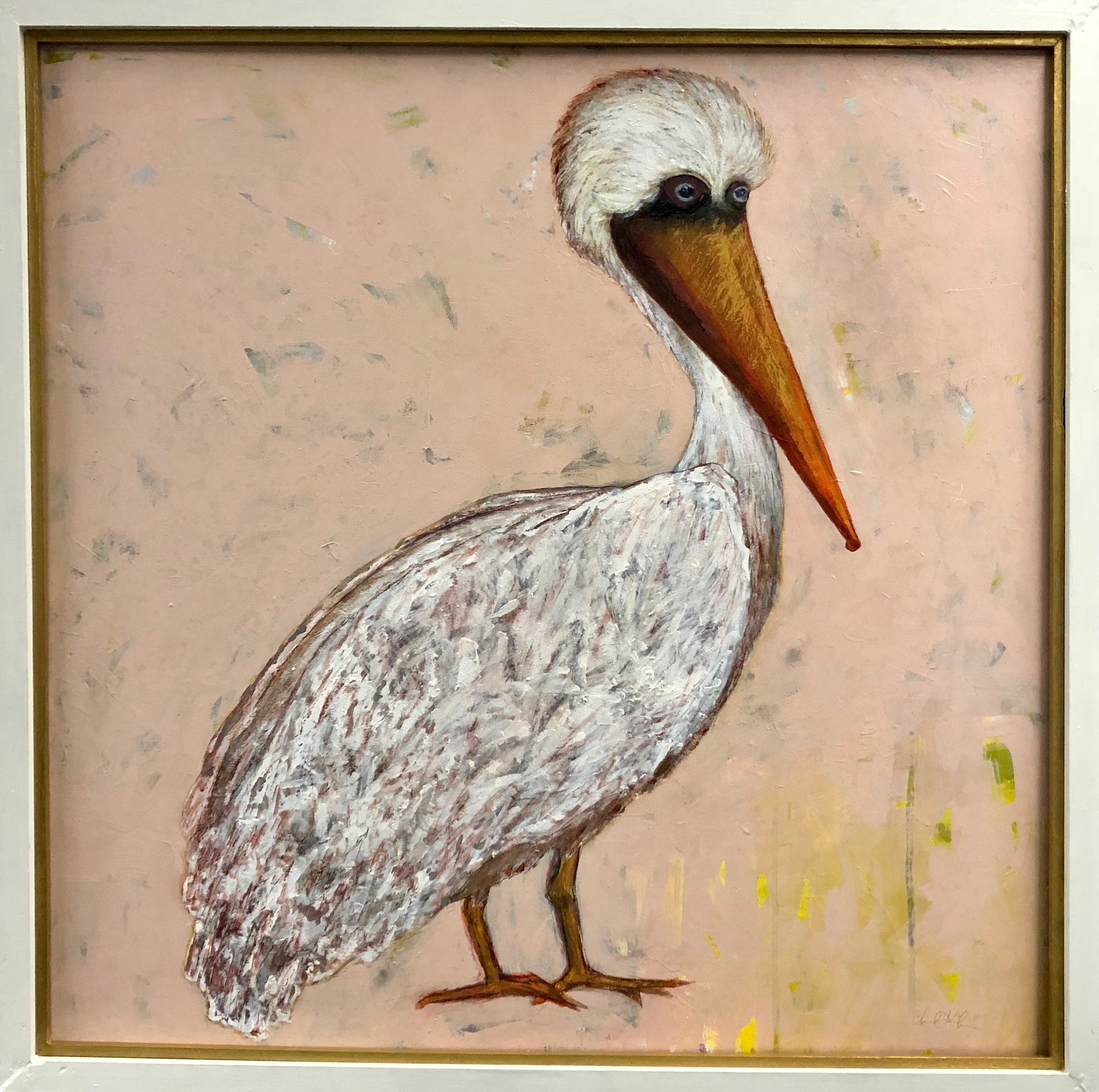 Louisiana Brown Pelican