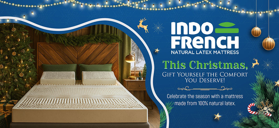 indofrench christmas_banner copy.jpg