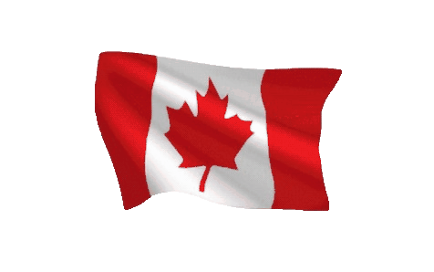 1646124428canadian-flag-animat-unscreen.gif