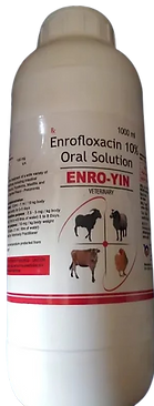 ENRO-YIN
