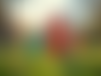 Canada Culture Days: Celebrating Arts and Heritage