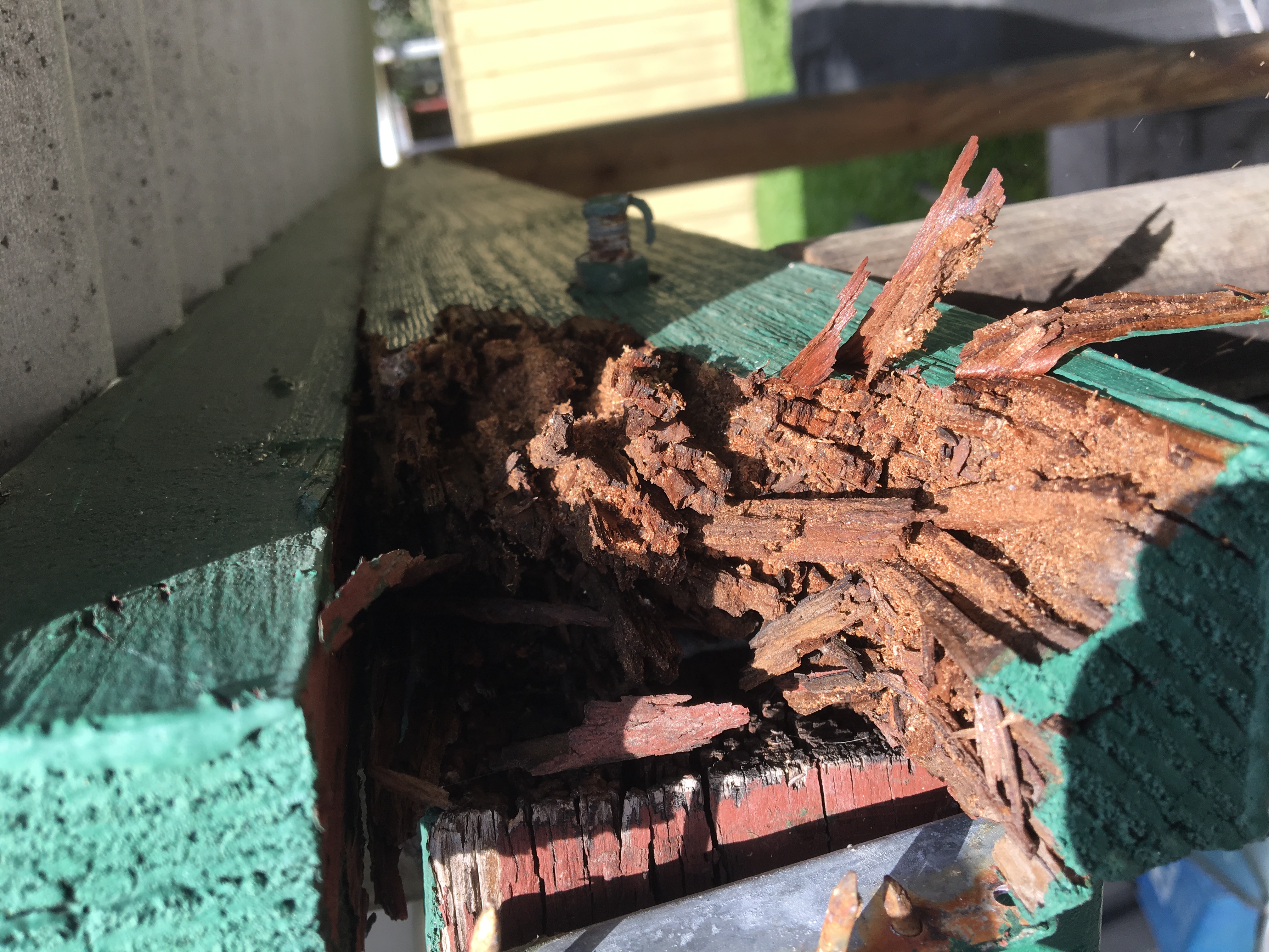 Termite damage in bearer