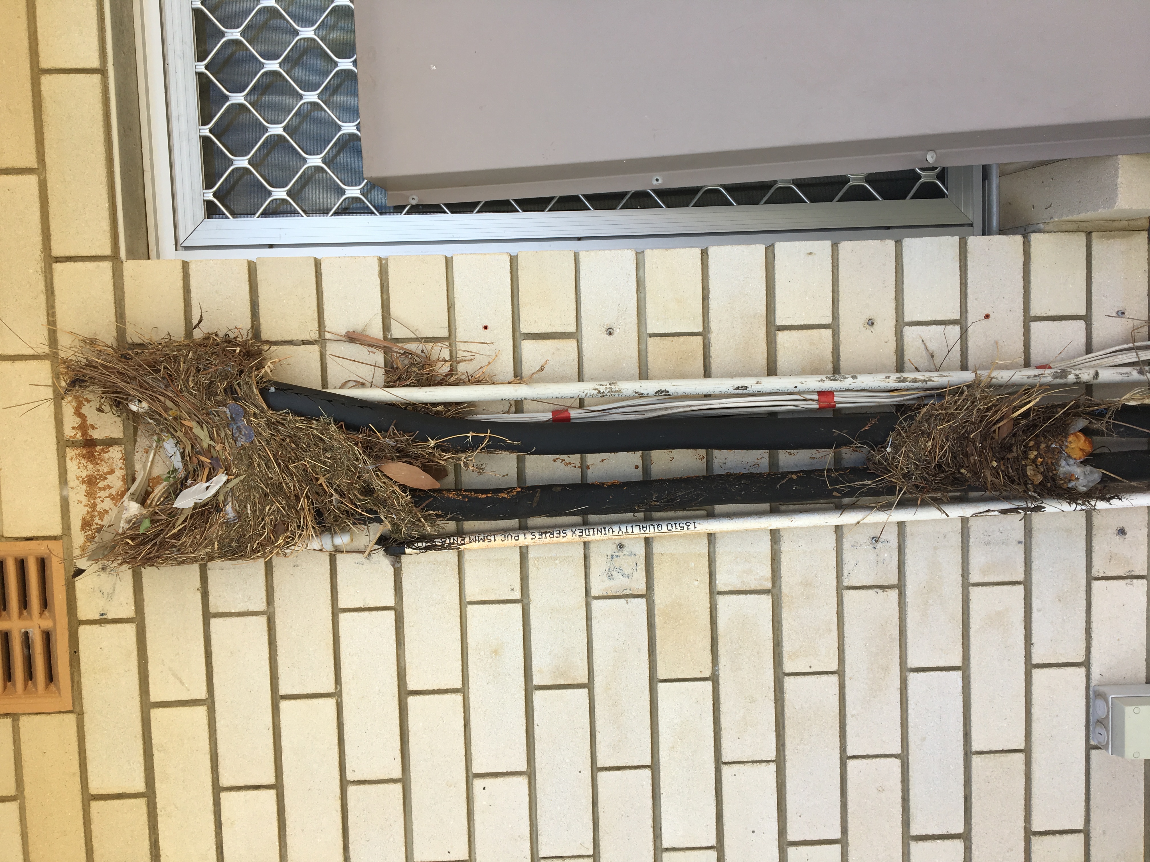 Townsville Termite & Pest Control Gallery