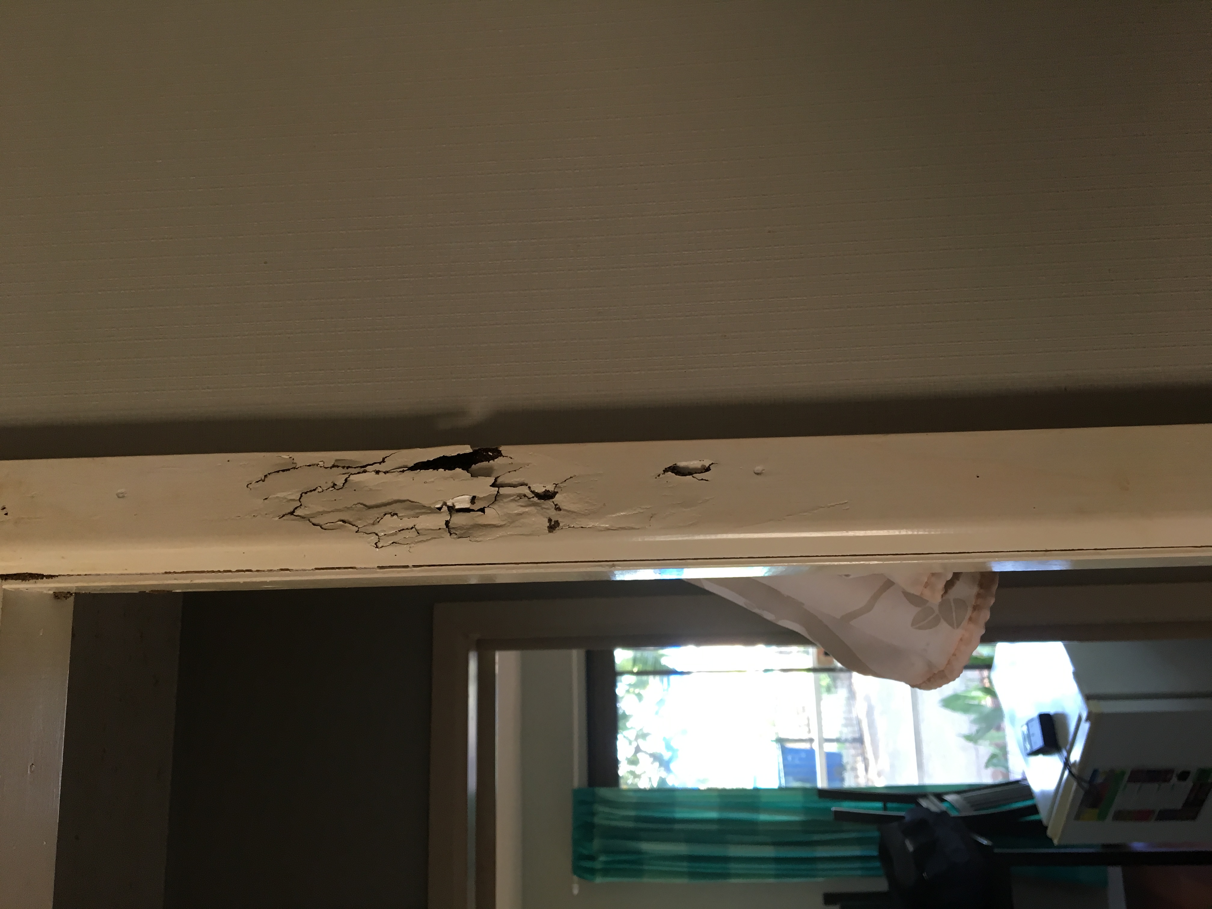 Door frame damage by Termites in Townsville