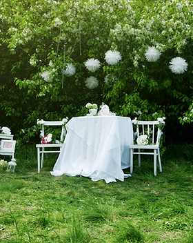 Fairytale Wedding