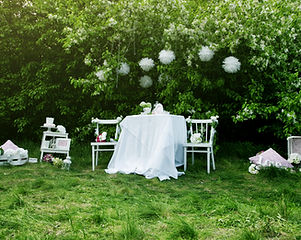 Fairytale Wedding