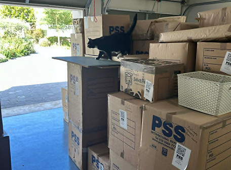 S West - some of the boxes.jpeg