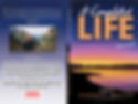A Completed Life - Full Cover_23_edited_edited_edited.jpg