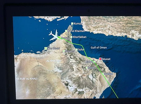 Dubia flight path.jpeg