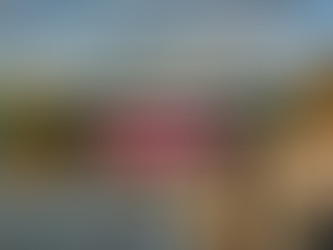 Investing in Newcastle