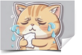 המחשה של מדבקת סקירה - חתול