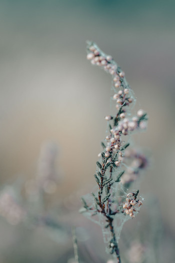 DSC_1630.jpg