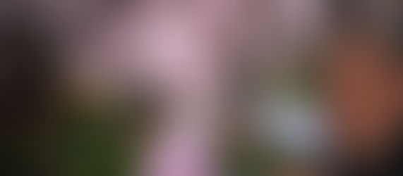 Art Garfunkel Jr. stands among flowering trees along a pathway, surrounded by the colors and light of the slowly awakening spring, reflecting his creative inspiration and accompanying him on his artistic journey.