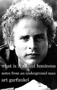 What Is It All but Luminous Notes from a