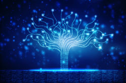 treeopendata
