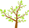Tree Leaves