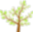 Tree Leaves
