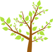 Tree Leaves