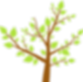 Tree Leaves