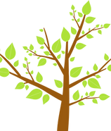 Tree Leaves
