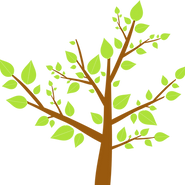 L'arbre qui te représente pour accueillir tes transformations
