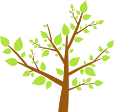 Feuilles d'arbre