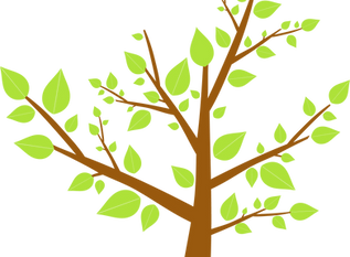 Tree Leaves