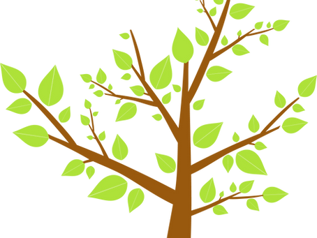 Selo Verde: Diferencial sustentável e fundamental para o seu negócio