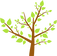 Tree Leaves