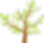 Feuilles d'arbre