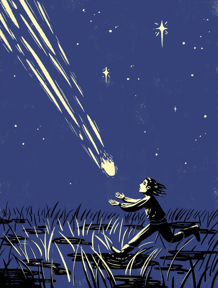 Catch A Falling Star