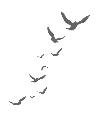 Coalition to Oppose Domestic Abuse (7)_e