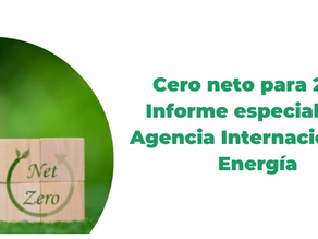 Cero Emisiones Netas para 2050