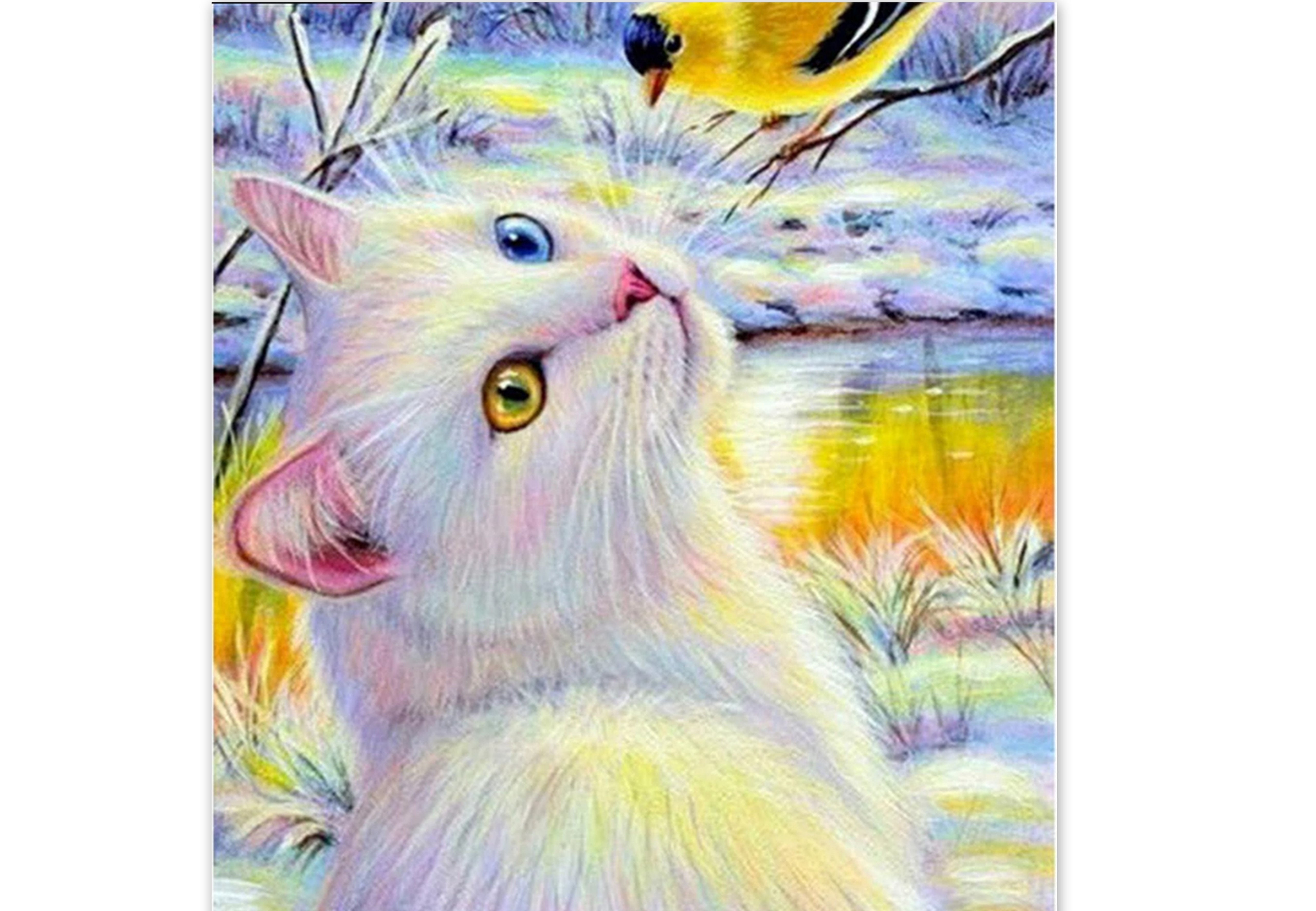 chat blanc et oiseau