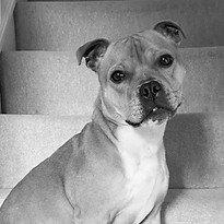 Rocky_edited_edited.jpg
