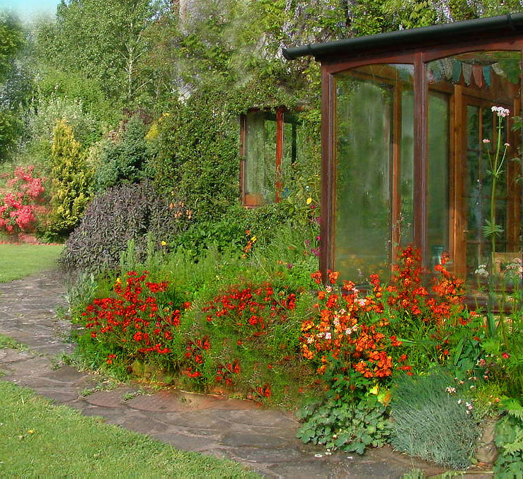 house 4.jpg