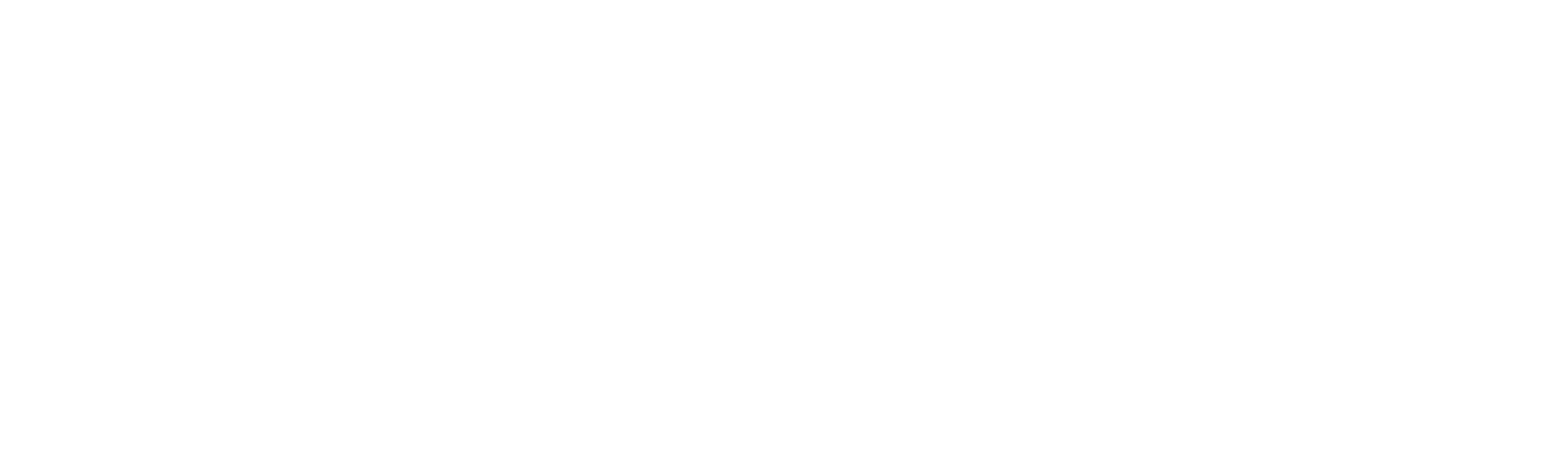 TheHyding-Logo(wo).png