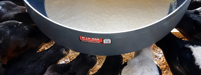 Milk Bar Europe Products Calf Feeders