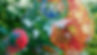 shutterstock_2046698978-FXC.jpg