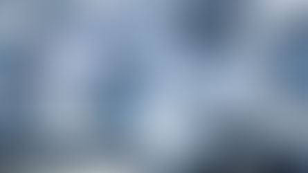 EJPPS Volume 25 Issue 4