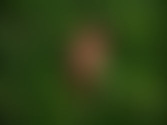 Integrity Simulation: Adam & Eve | A03AB5