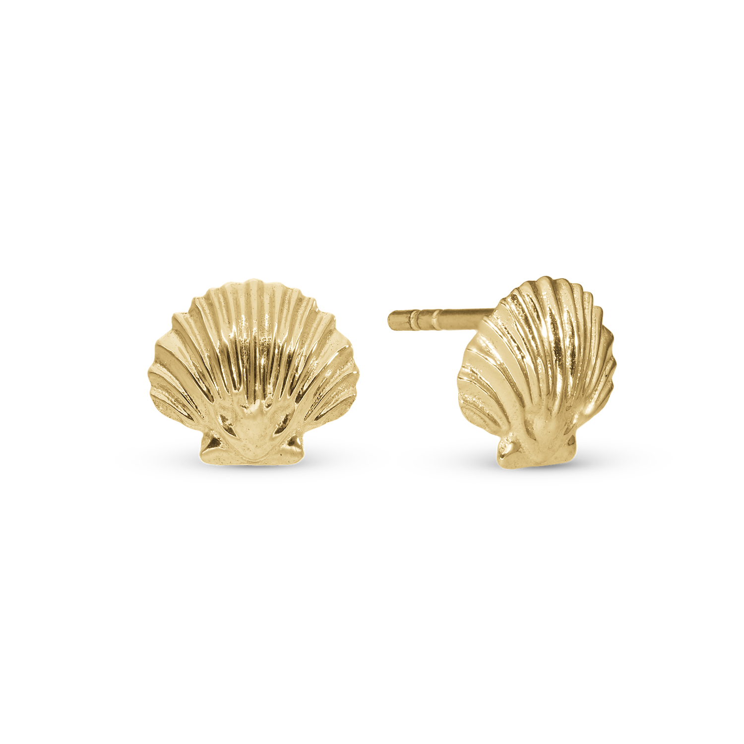 Clam shell Studs - Gold Plated