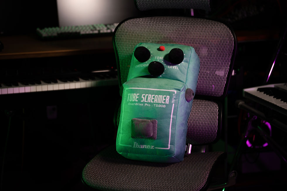 Ibanez TSMAXI001 ts808 ぬいぐるみ TSMAXI001】Ibanez TUBE SCREAMER ぬいぐるみ | Ibanez & TAMA