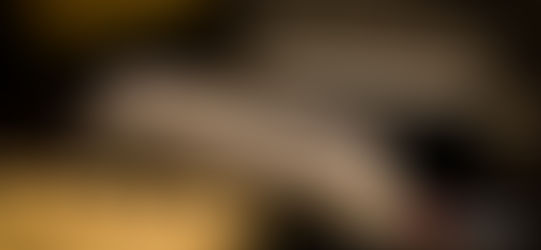 国内販売代理店が変更になります。