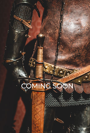 black and brown leather horse saddle_edited.jpg