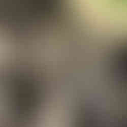 skeleton hands hold a globe