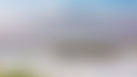 Inspiration: Kenyas modell för naturvård som gynnar både människor och djur