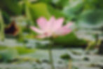Foto: Shutterstock