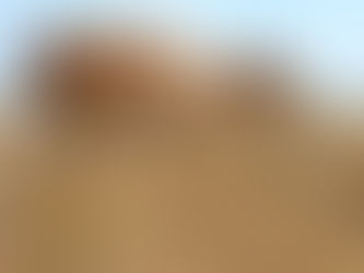 Goda nyheter: Akut hotad antilopart återhämtar sig kraftigt 